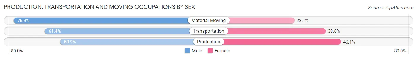 Production, Transportation and Moving Occupations by Sex in Zip Code 38104