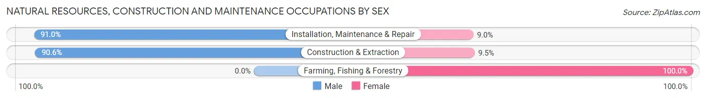 Natural Resources, Construction and Maintenance Occupations by Sex in Zip Code 38116