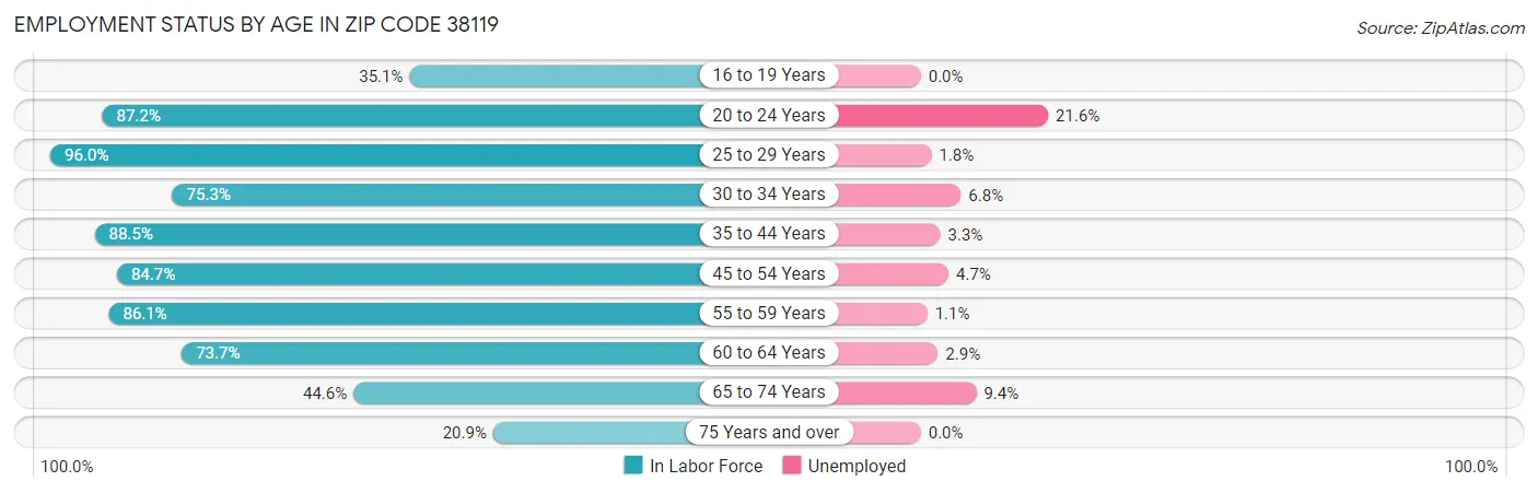 Employment Status by Age in Zip Code 38119