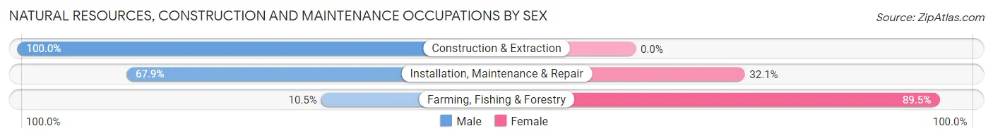 Natural Resources, Construction and Maintenance Occupations by Sex in Zip Code 38120