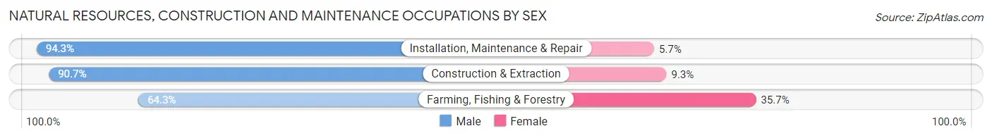 Natural Resources, Construction and Maintenance Occupations by Sex in Zip Code 38128