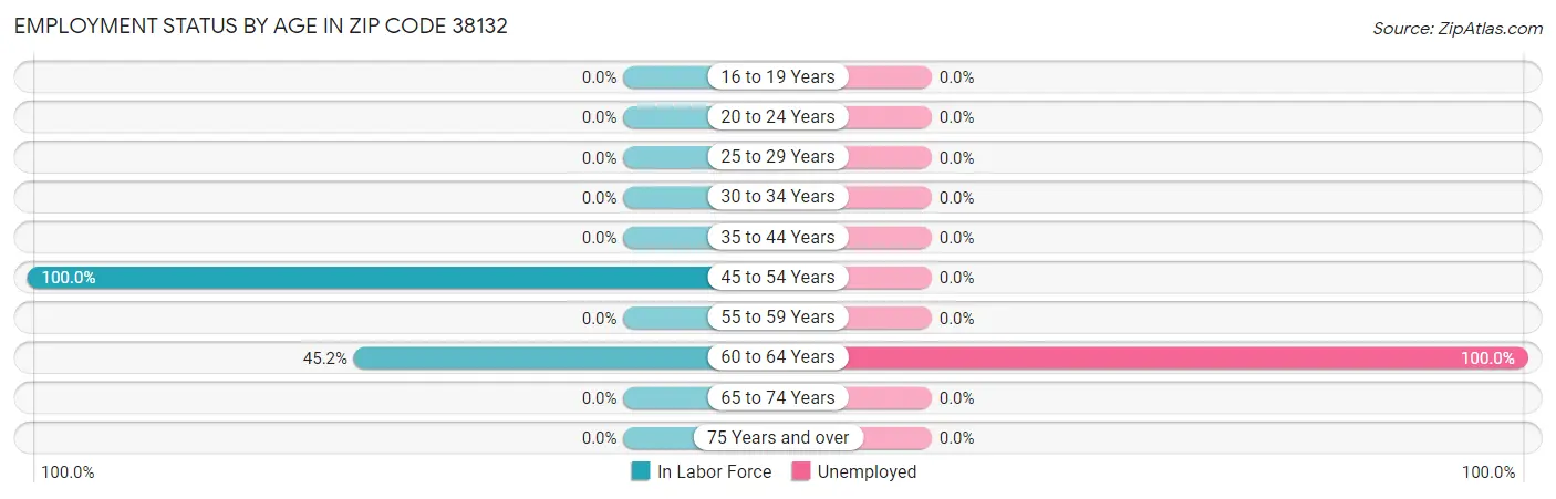 Employment Status by Age in Zip Code 38132