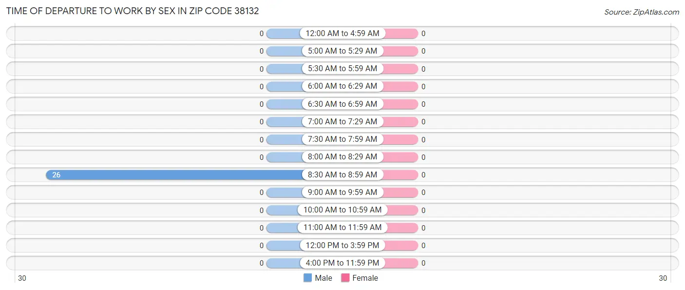 Time of Departure to Work by Sex in Zip Code 38132