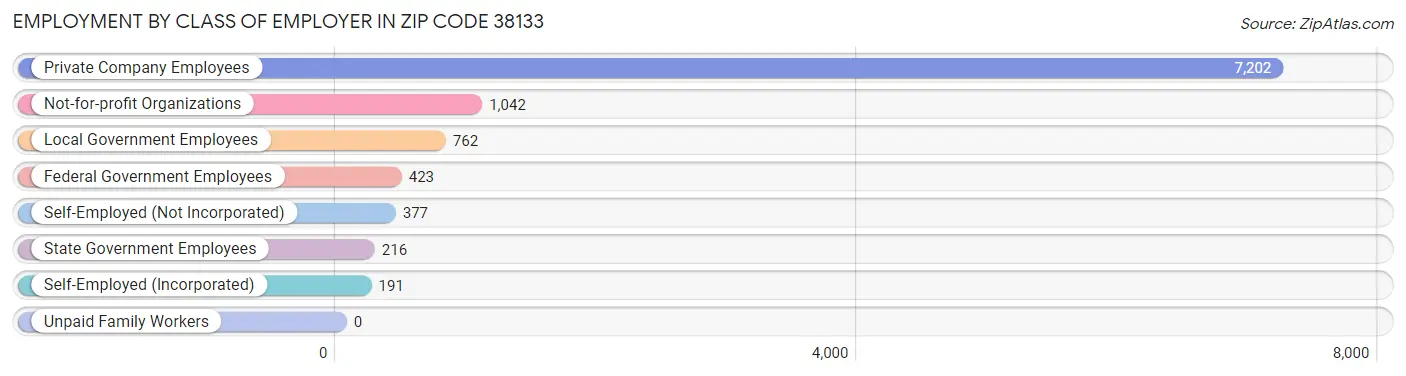 Employment by Class of Employer in Zip Code 38133