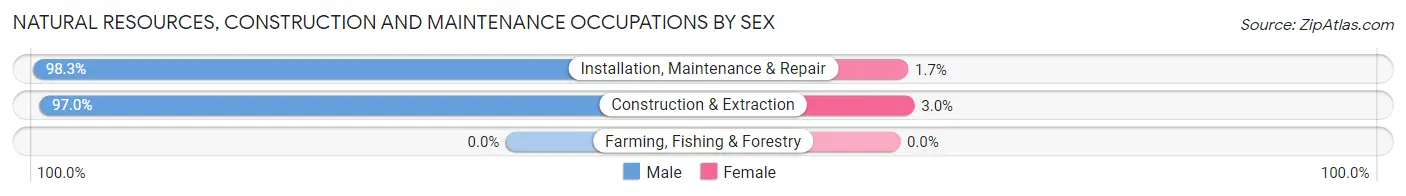 Natural Resources, Construction and Maintenance Occupations by Sex in Zip Code 38134