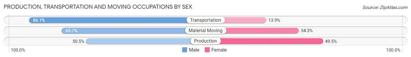 Production, Transportation and Moving Occupations by Sex in Zip Code 38134