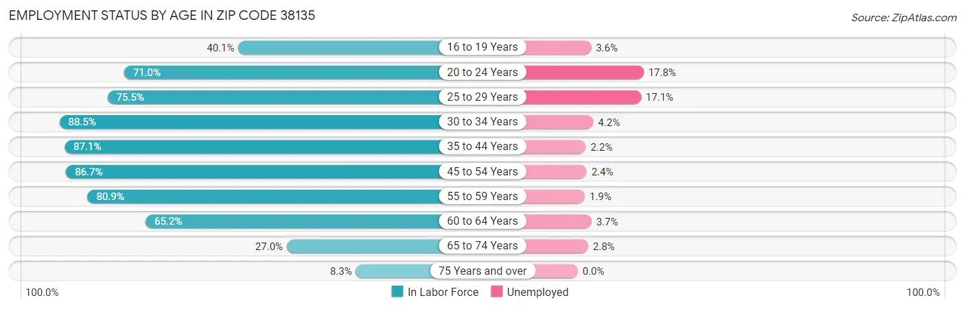 Employment Status by Age in Zip Code 38135