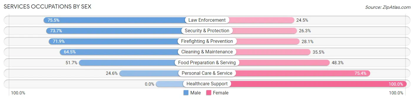 Services Occupations by Sex in Zip Code 38135