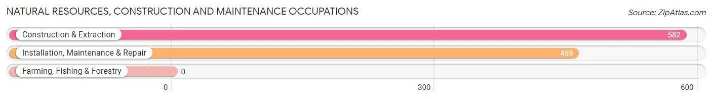 Natural Resources, Construction and Maintenance Occupations in Zip Code 38141