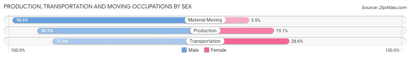 Production, Transportation and Moving Occupations by Sex in Zip Code 38220