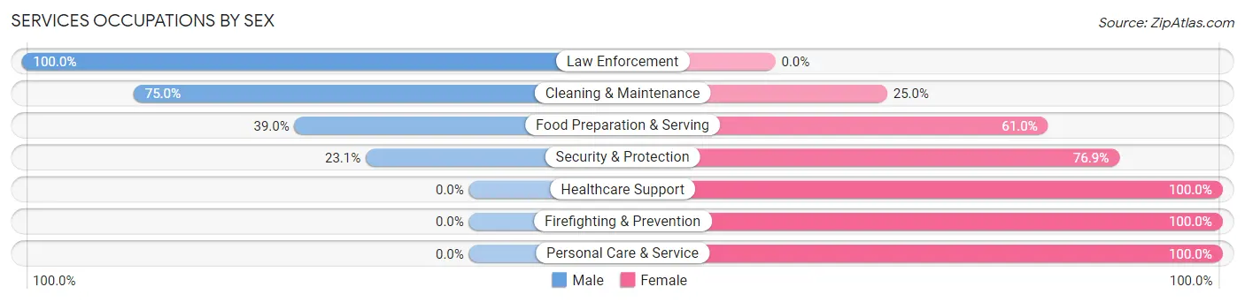 Services Occupations by Sex in Zip Code 38221