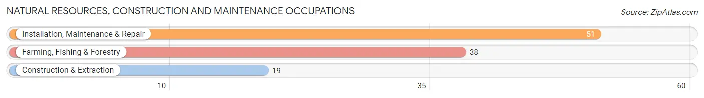 Natural Resources, Construction and Maintenance Occupations in Zip Code 38222