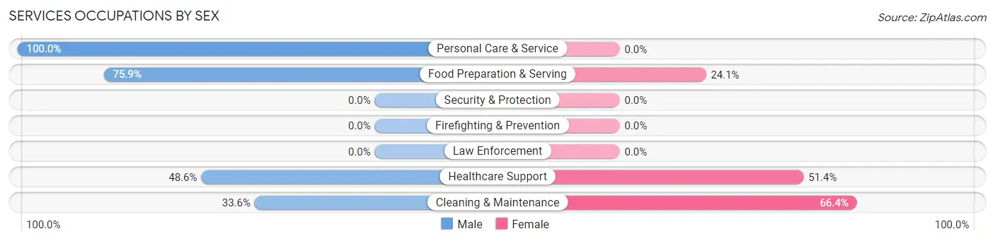Services Occupations by Sex in Zip Code 38225