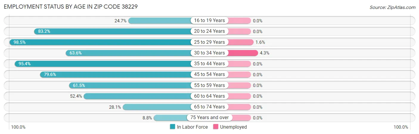 Employment Status by Age in Zip Code 38229