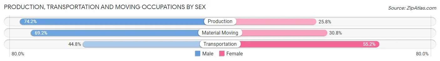 Production, Transportation and Moving Occupations by Sex in Zip Code 38229