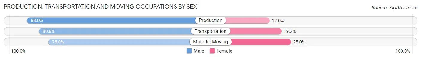 Production, Transportation and Moving Occupations by Sex in Zip Code 38231