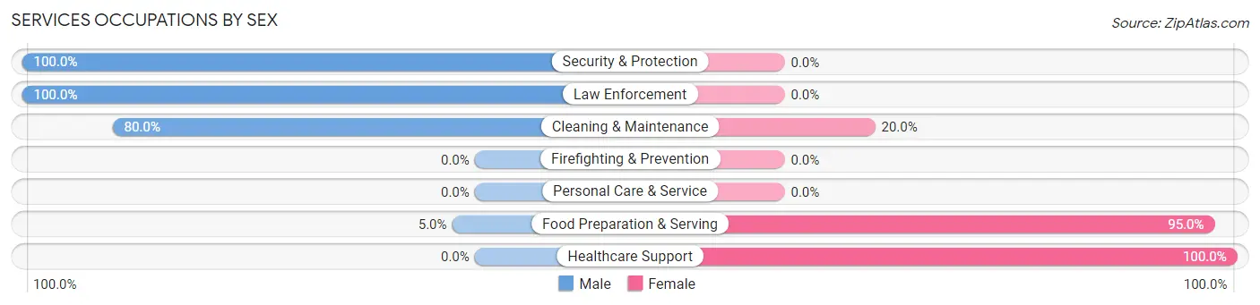 Services Occupations by Sex in Zip Code 38231