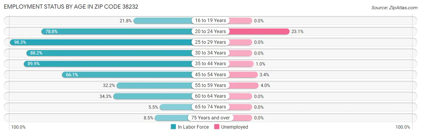 Employment Status by Age in Zip Code 38232