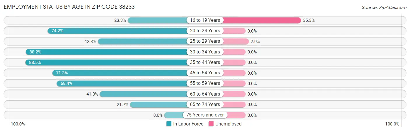 Employment Status by Age in Zip Code 38233
