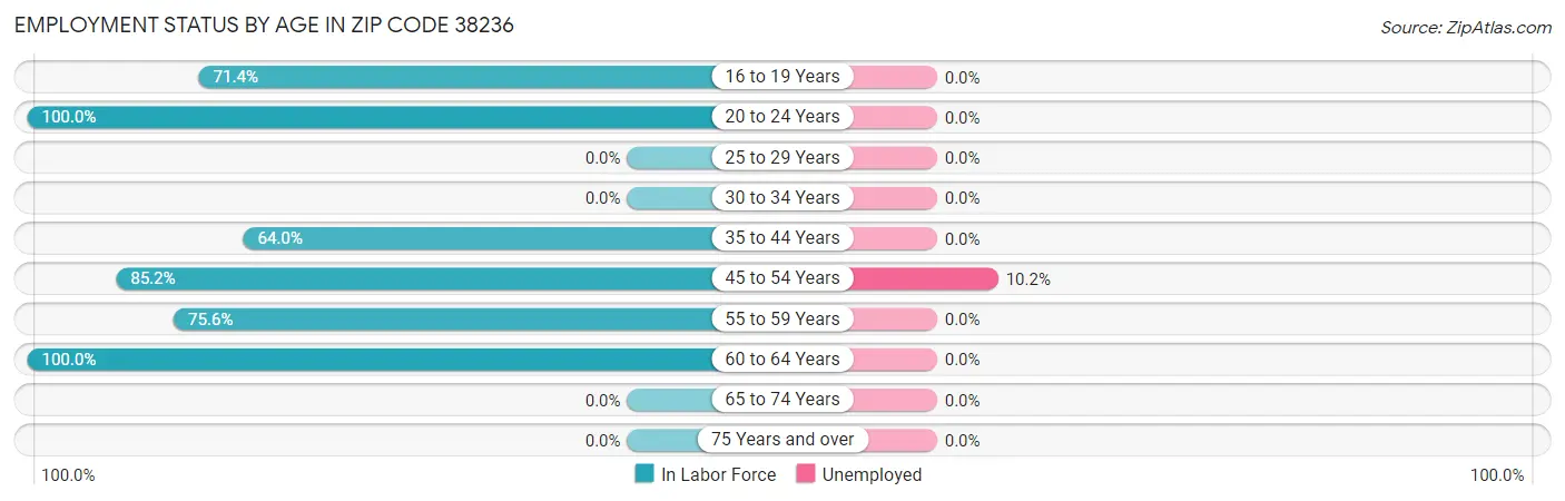 Employment Status by Age in Zip Code 38236