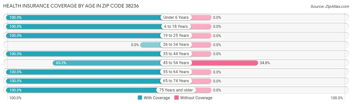 Health Insurance Coverage by Age in Zip Code 38236