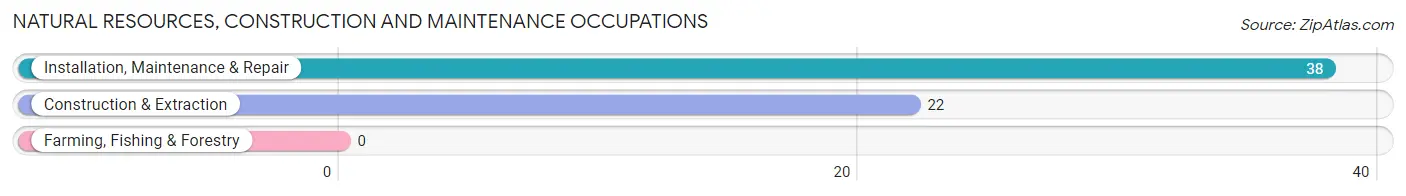 Natural Resources, Construction and Maintenance Occupations in Zip Code 38241