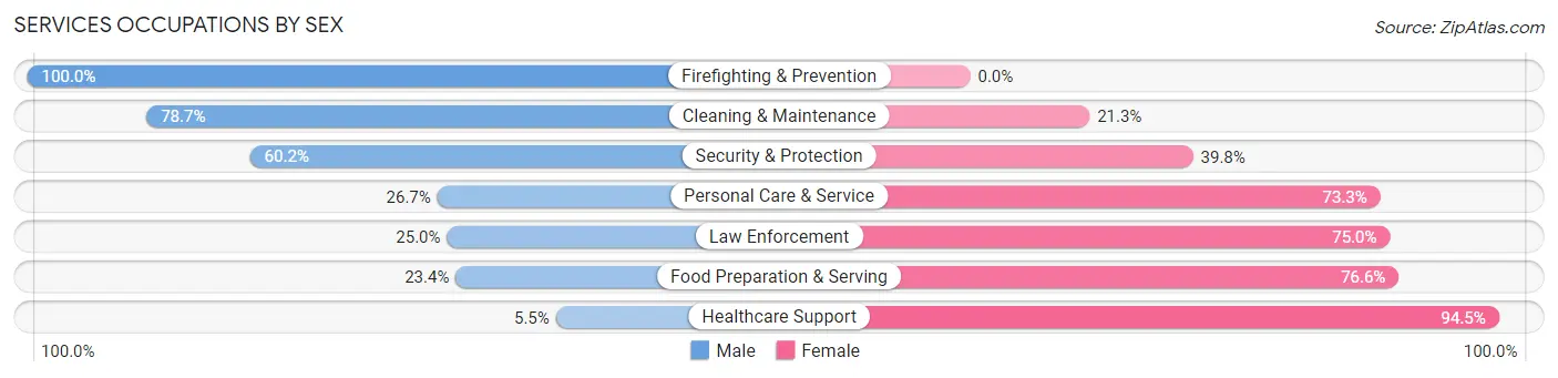 Services Occupations by Sex in Zip Code 38242