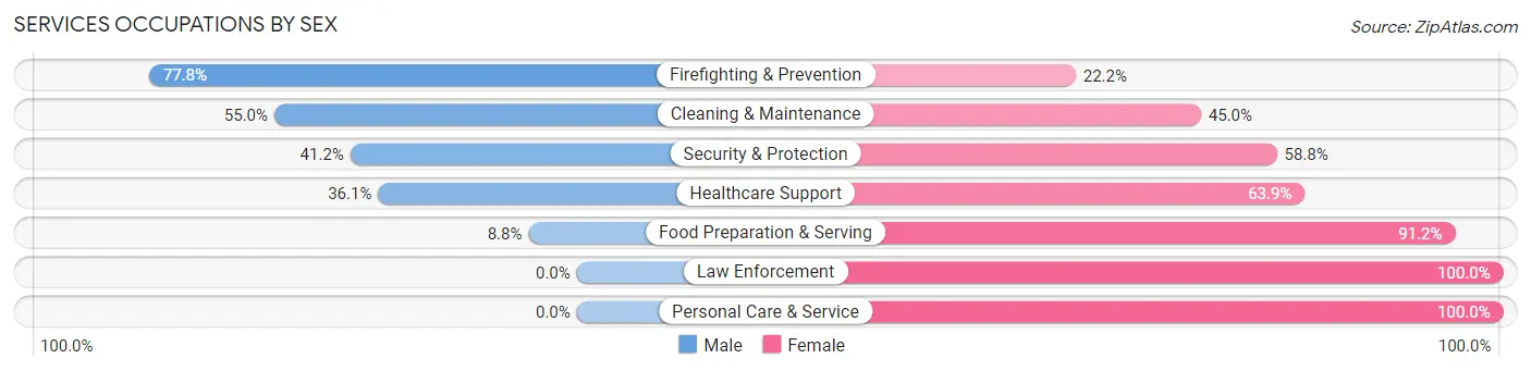 Services Occupations by Sex in Zip Code 38251