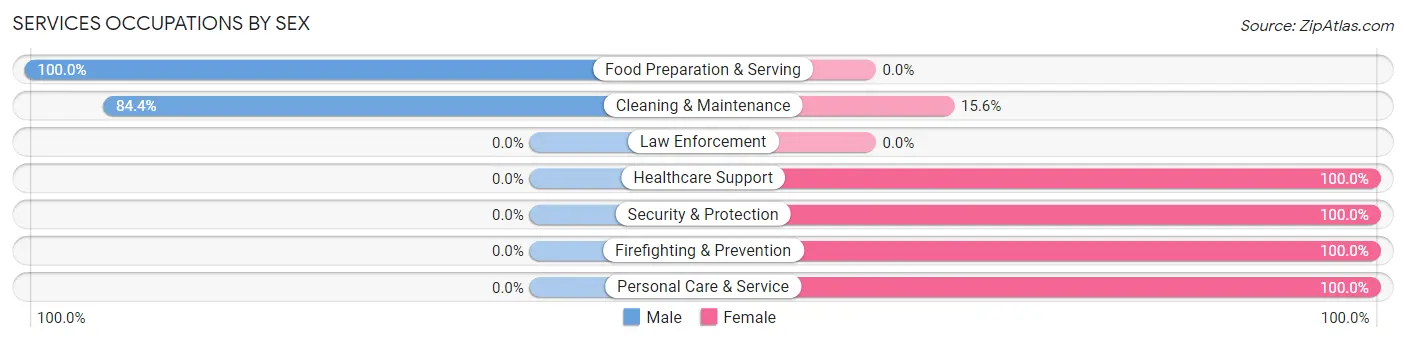 Services Occupations by Sex in Zip Code 38253