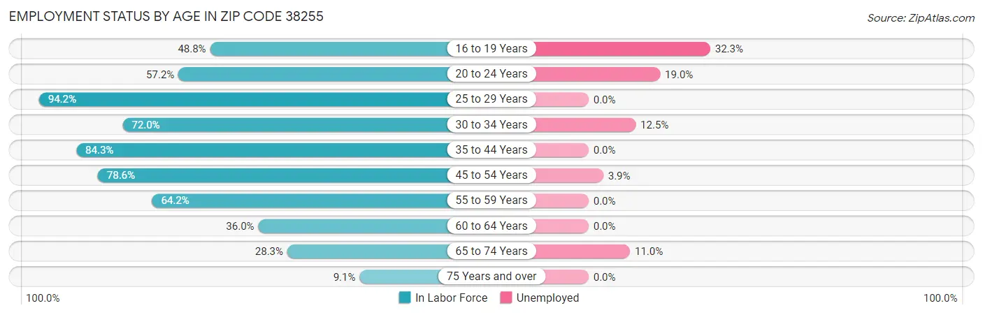 Employment Status by Age in Zip Code 38255