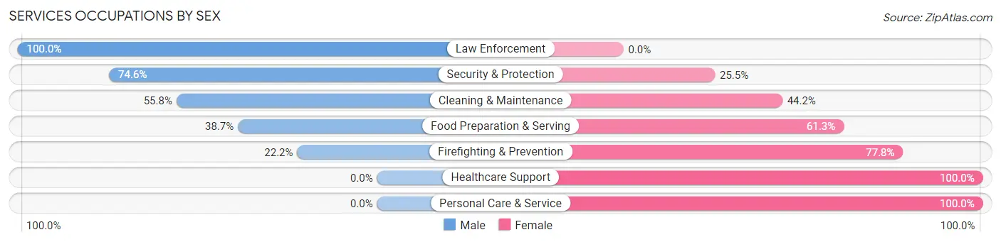 Services Occupations by Sex in Zip Code 38255