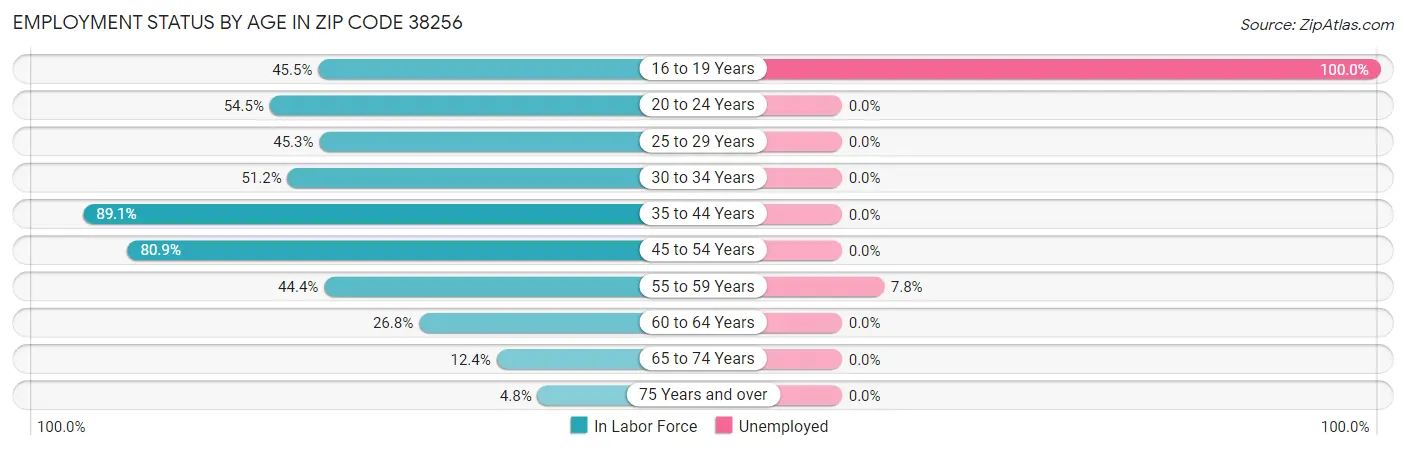 Employment Status by Age in Zip Code 38256