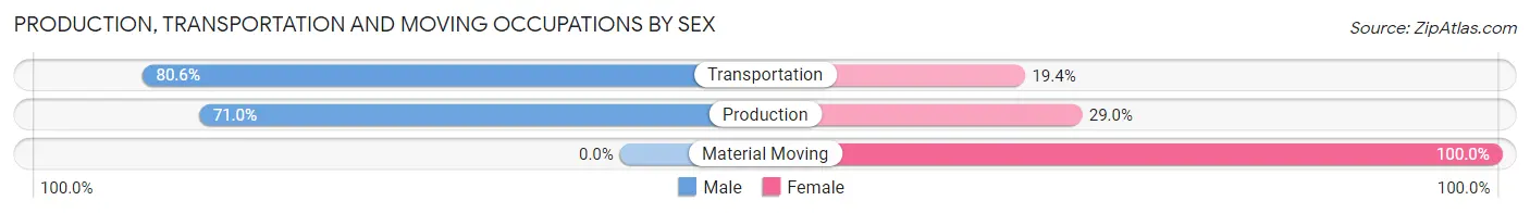 Production, Transportation and Moving Occupations by Sex in Zip Code 38256