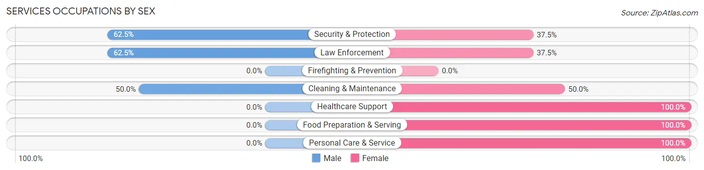 Services Occupations by Sex in Zip Code 38256