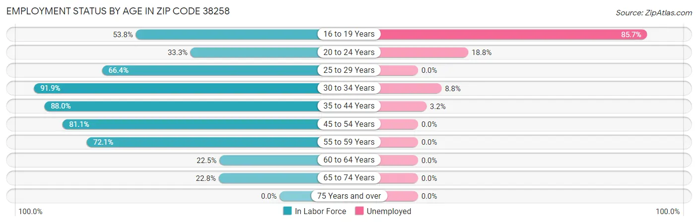 Employment Status by Age in Zip Code 38258