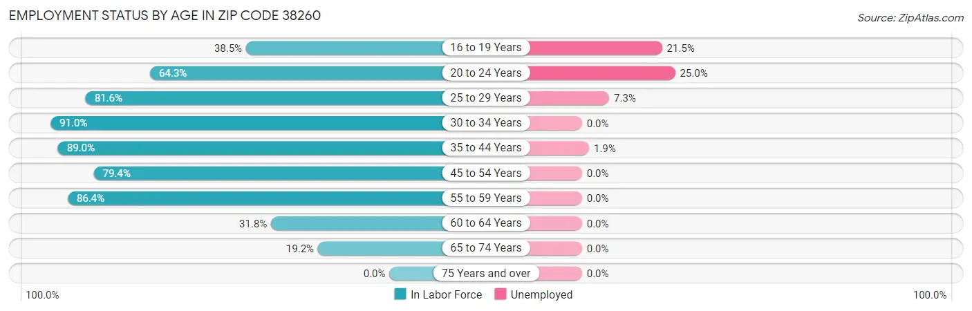 Employment Status by Age in Zip Code 38260