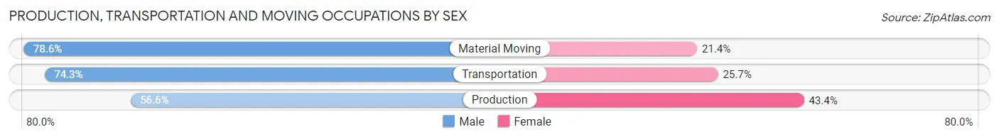 Production, Transportation and Moving Occupations by Sex in Zip Code 38260
