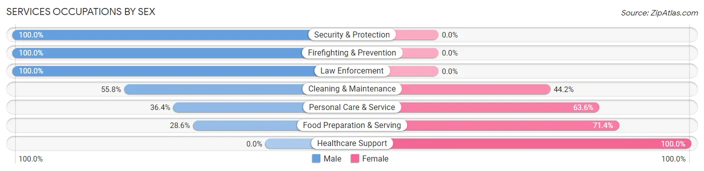 Services Occupations by Sex in Zip Code 38260