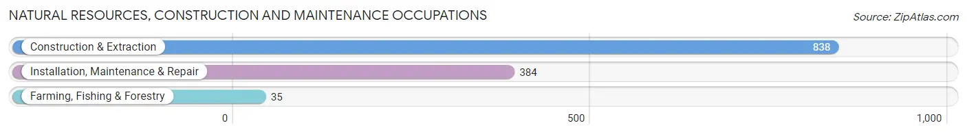 Natural Resources, Construction and Maintenance Occupations in Zip Code 38301