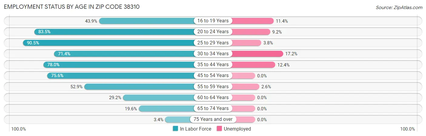 Employment Status by Age in Zip Code 38310