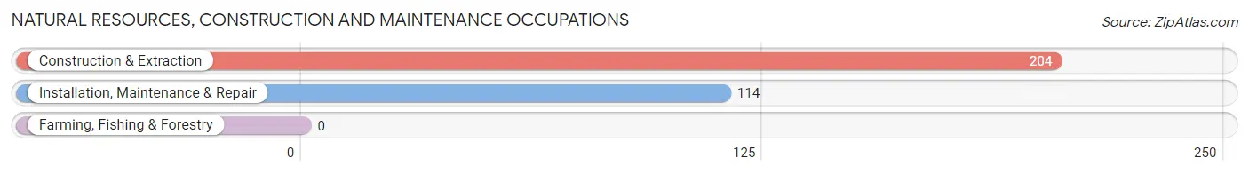 Natural Resources, Construction and Maintenance Occupations in Zip Code 38310