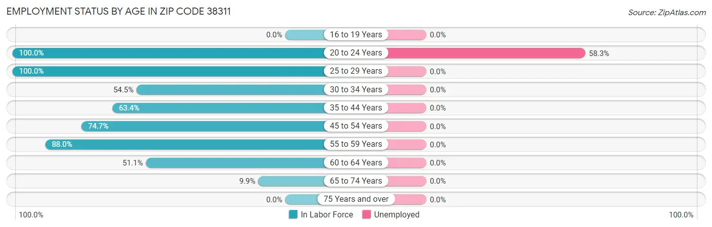 Employment Status by Age in Zip Code 38311