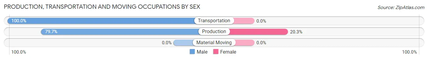 Production, Transportation and Moving Occupations by Sex in Zip Code 38311