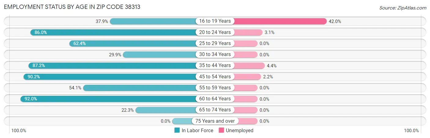 Employment Status by Age in Zip Code 38313