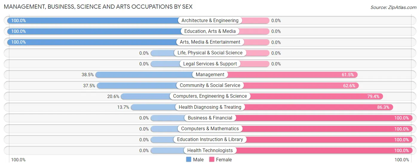Management, Business, Science and Arts Occupations by Sex in Zip Code 38313