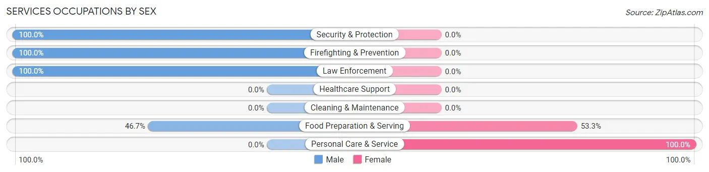 Services Occupations by Sex in Zip Code 38313