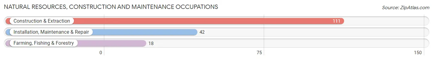 Natural Resources, Construction and Maintenance Occupations in Zip Code 38321