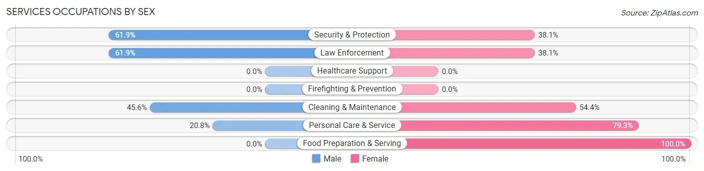 Services Occupations by Sex in Zip Code 38326