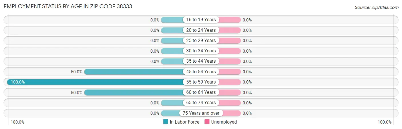 Employment Status by Age in Zip Code 38333