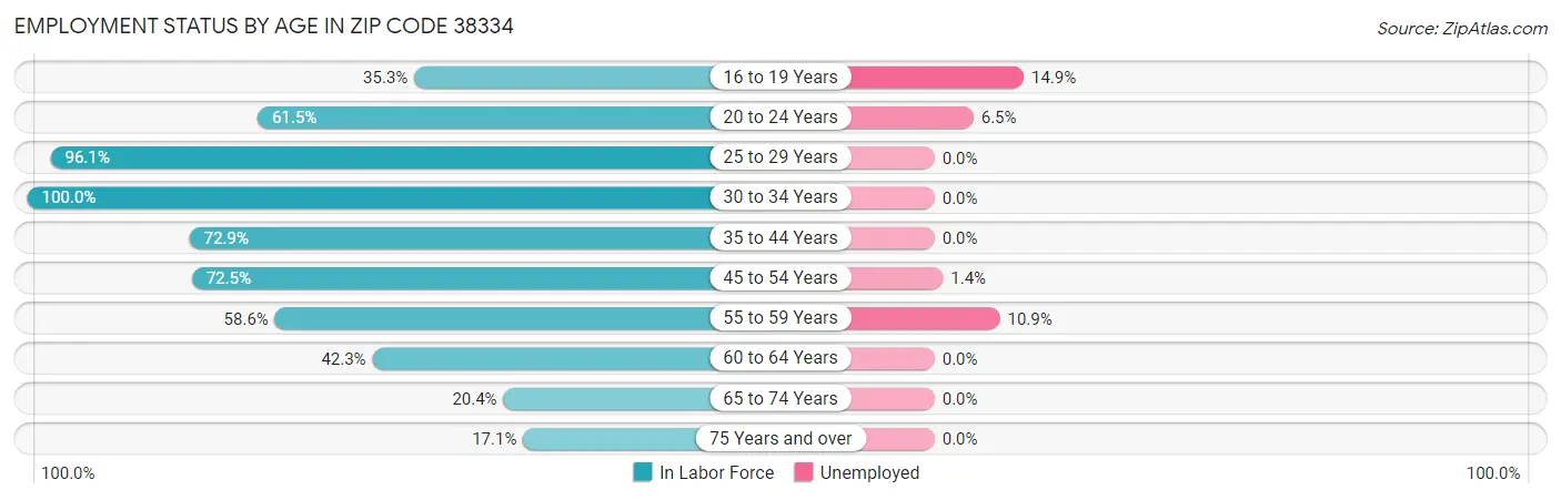 Employment Status by Age in Zip Code 38334